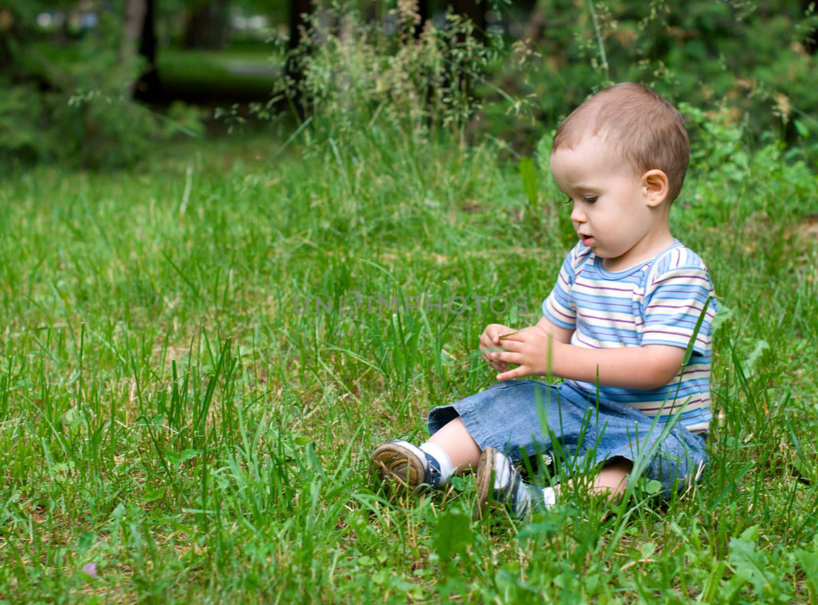 Boy sitting in a green grass