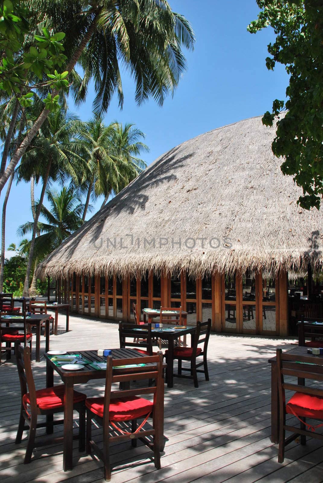 beautiful photo of a tropical view at a restaurant in a maldivian island
