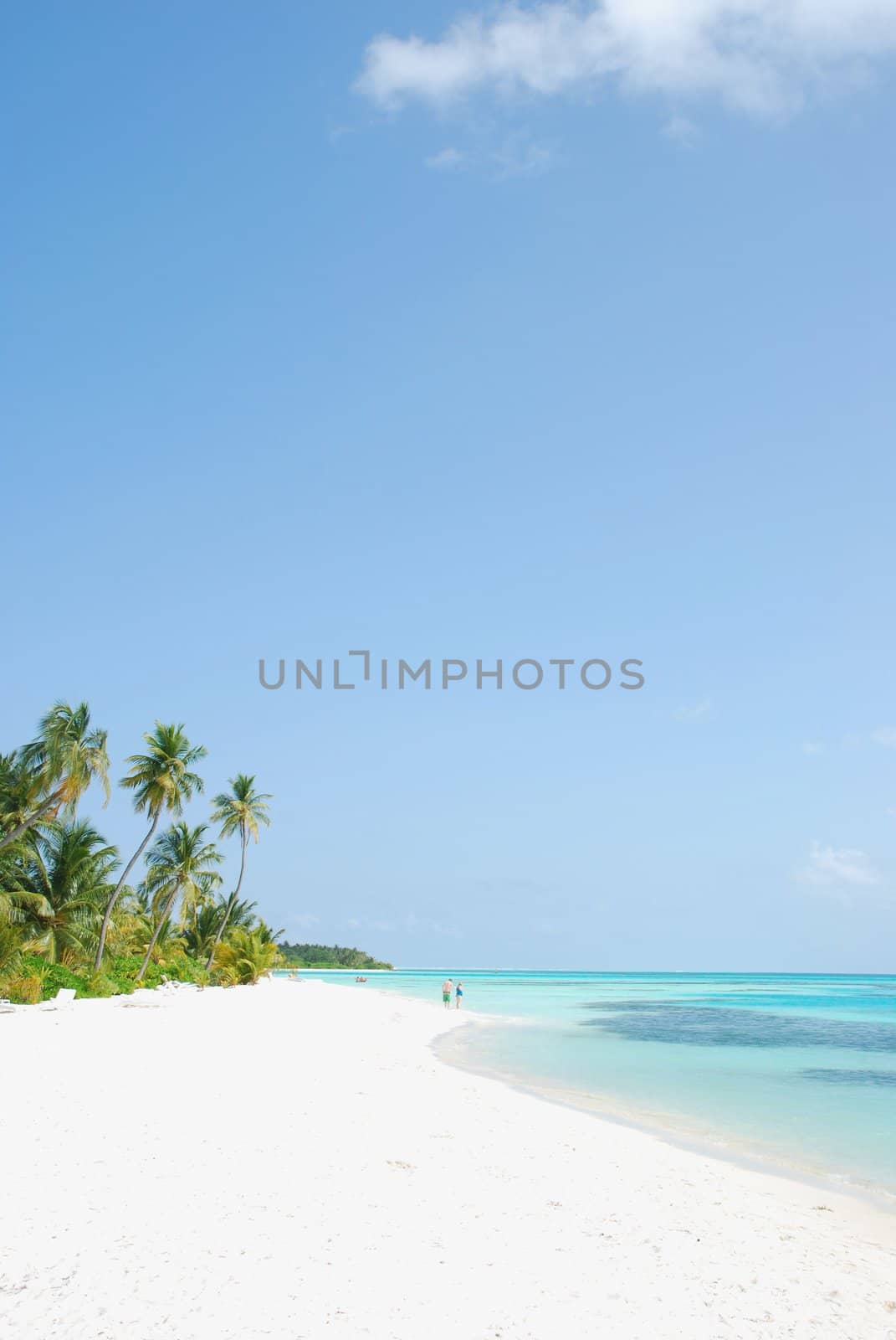 beautiful scene beach in a Maldivian Island