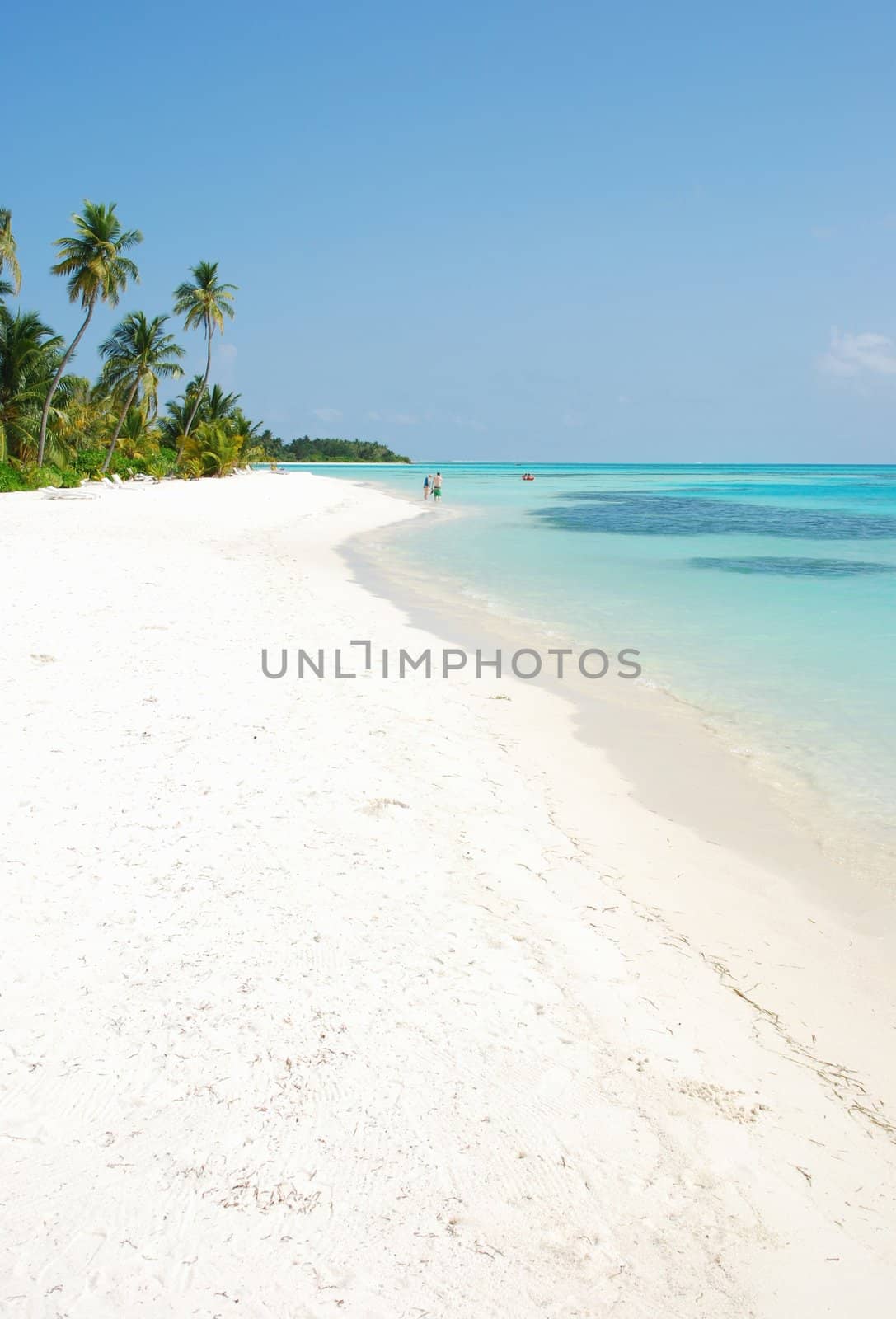 Beach paradise with palm trees by luissantos84