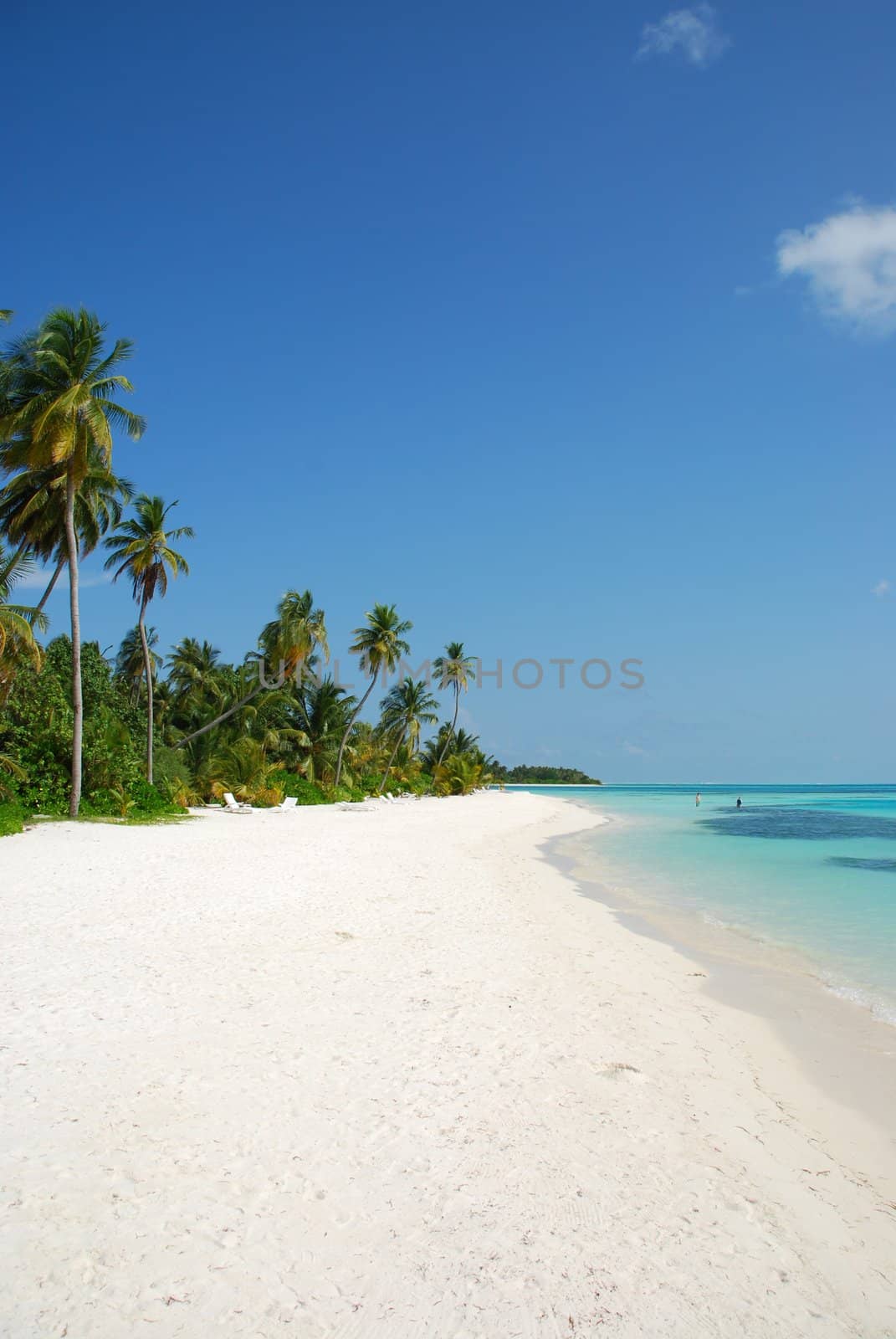 beautiful scene beach in a Maldivian Island