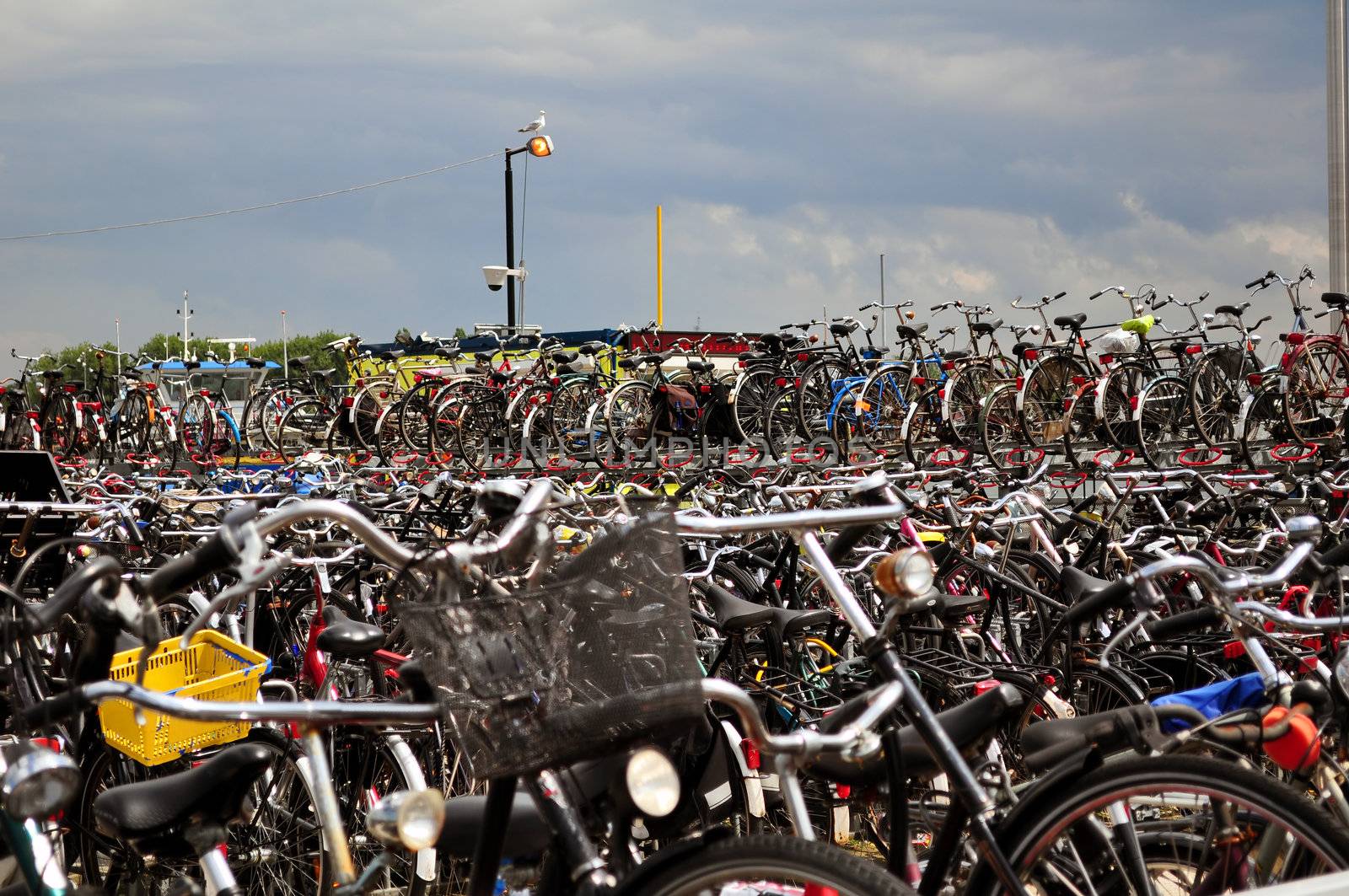 Bicycles, one of the most popular means of transportation in Amsterdam.