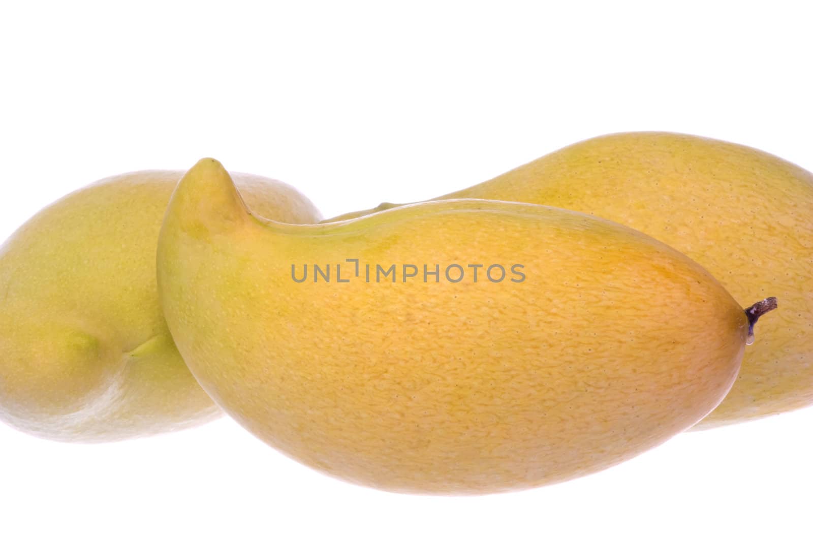 Waterlily Mangoes Isolated by shariffc
