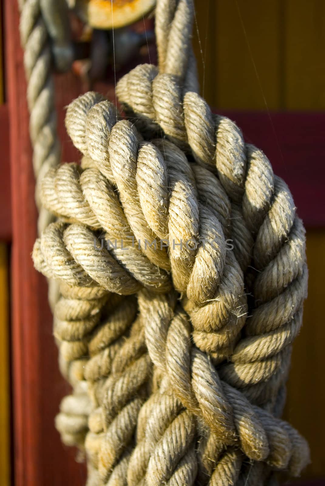 marine rope on wood board background