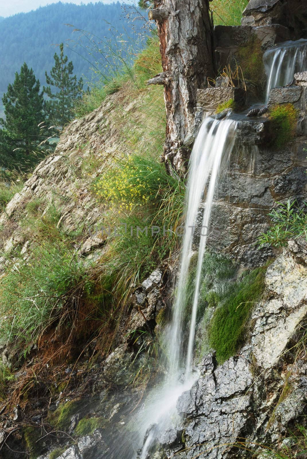 Creek waterfall surrounded by rocks and trees.