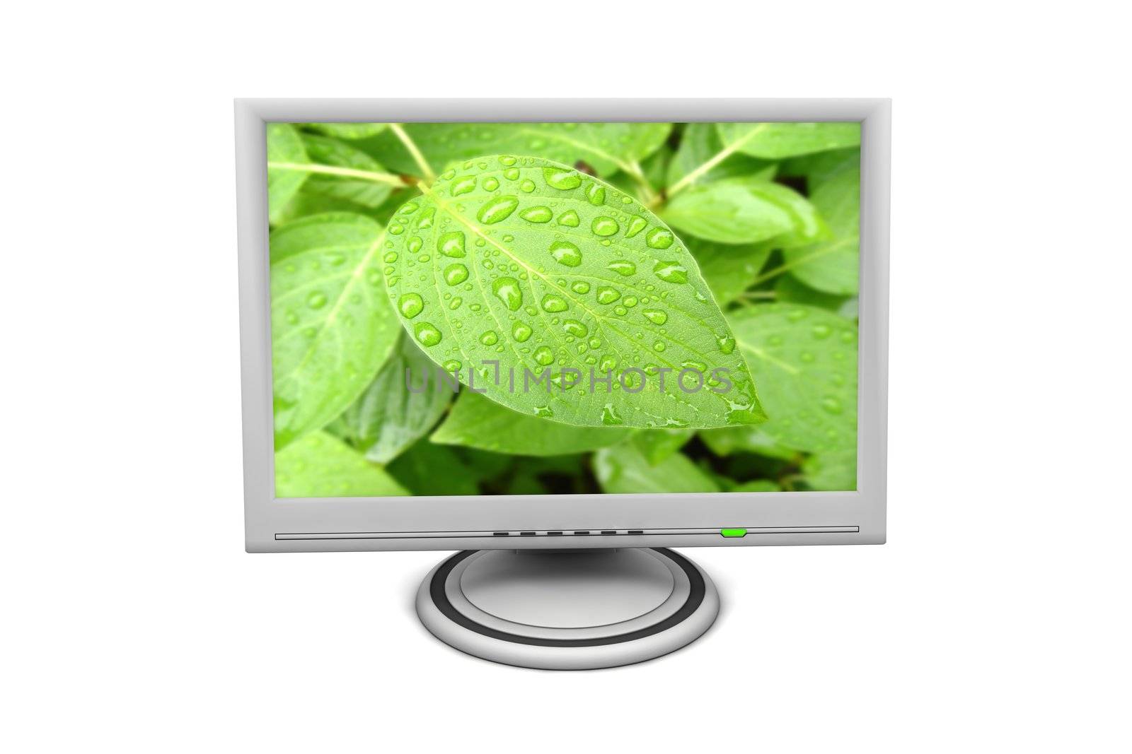 flat screen lcd computer monitor with a green status led and green leaf with morning dew on screen