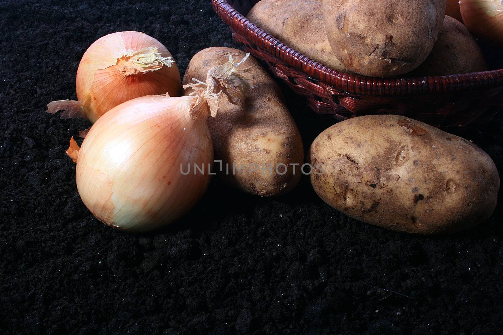 Autumn. Onions and potato harvesting. An onions and a potato in a basket on the soil.