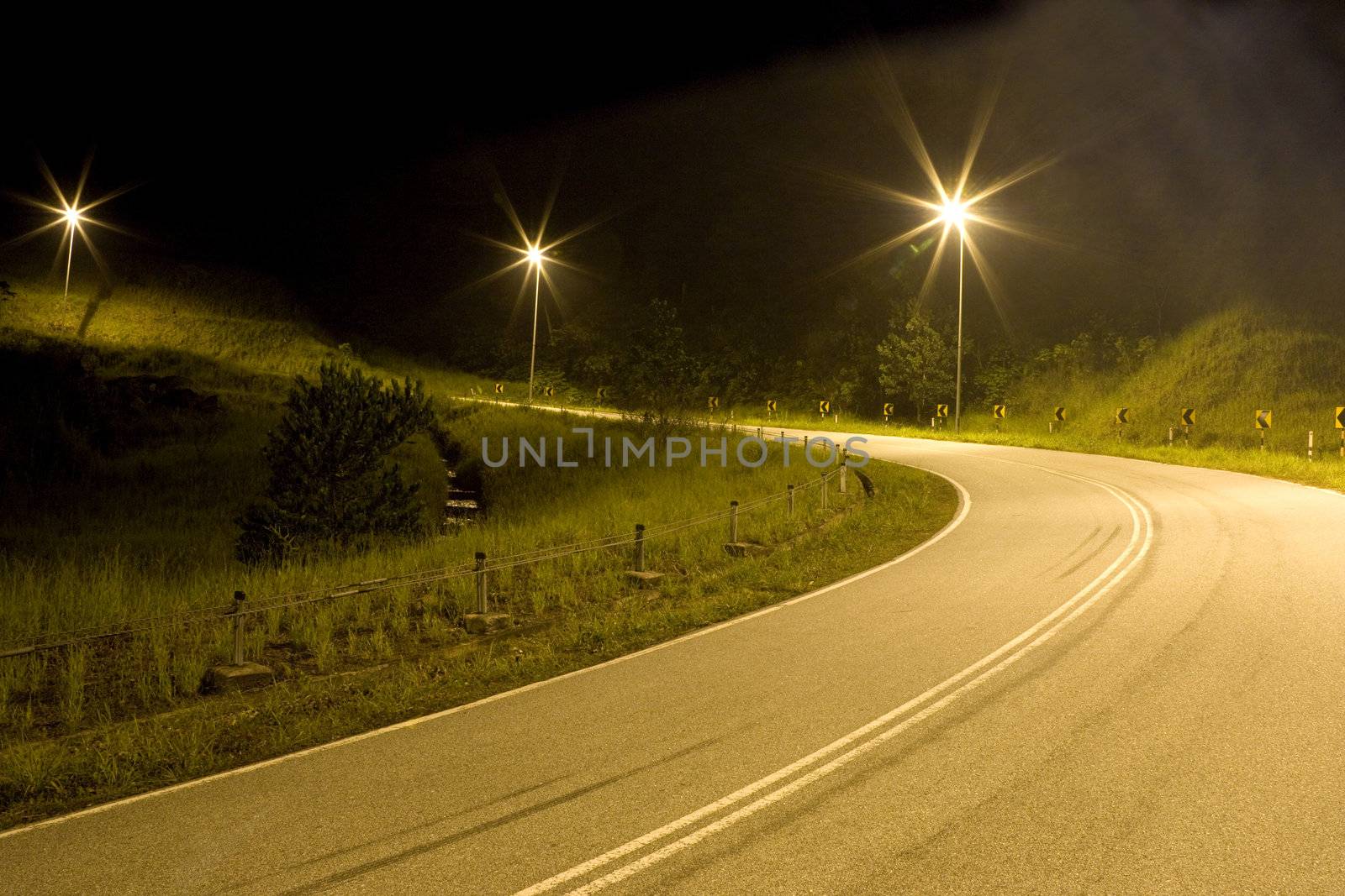 Image of a Malaysian country road at night.