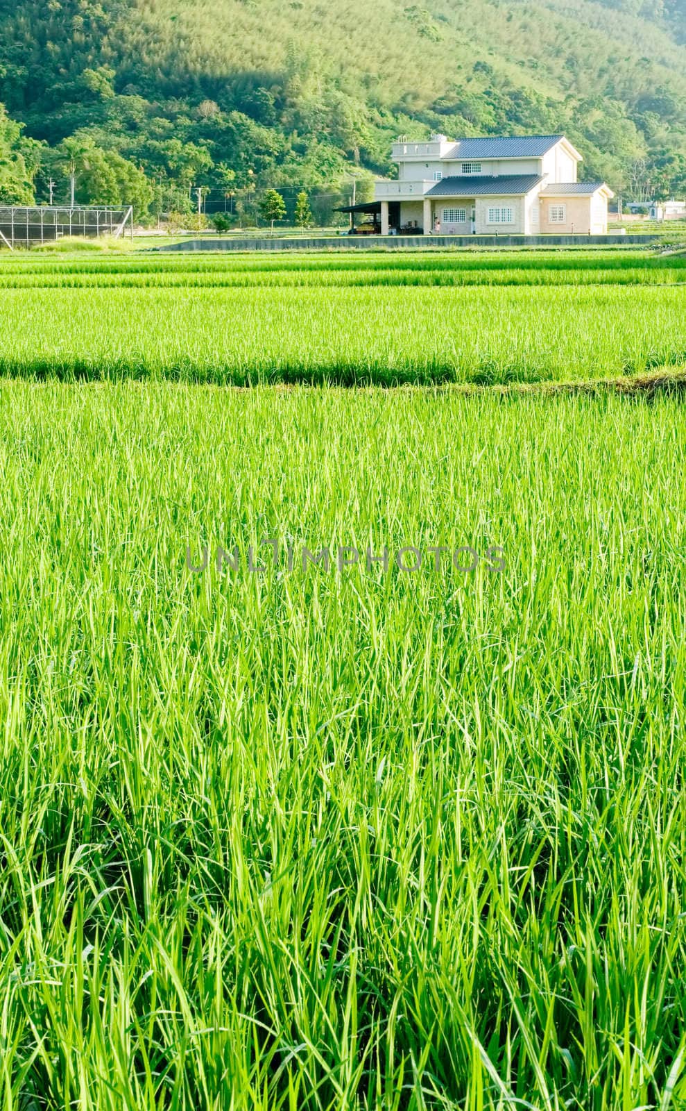 It is a landscape of green farm and small village.