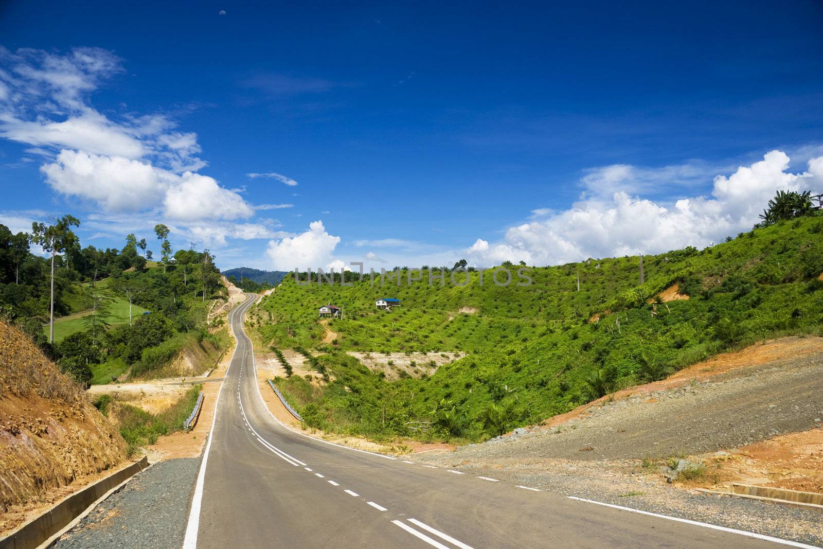 Image of a new road through an oil palm estate at Tawau, Malaysia.
