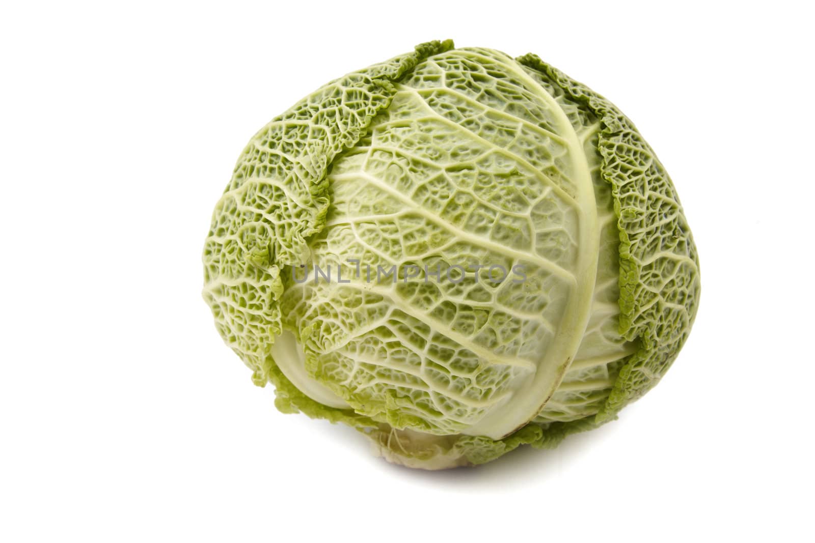 Head of savoy cabbage isolated on white background