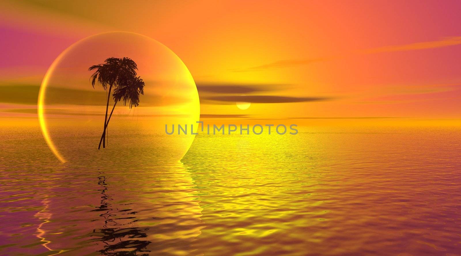 Palm tree in a bubble on the ocean by sunset