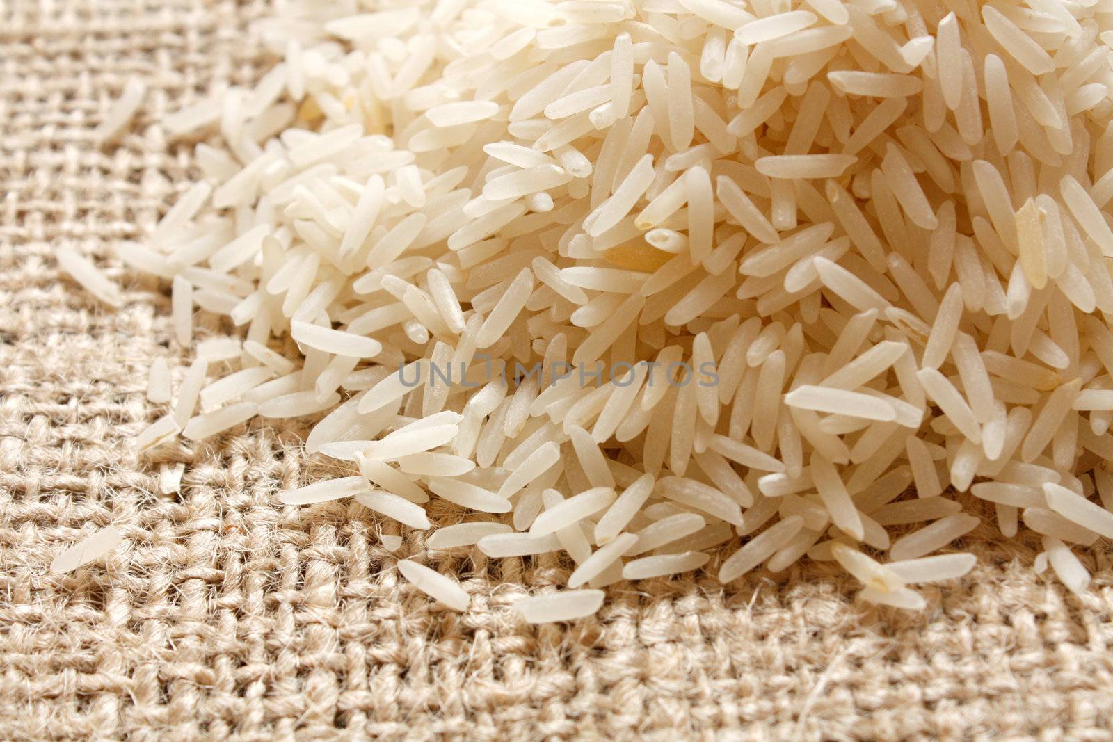 Basmati by leeser