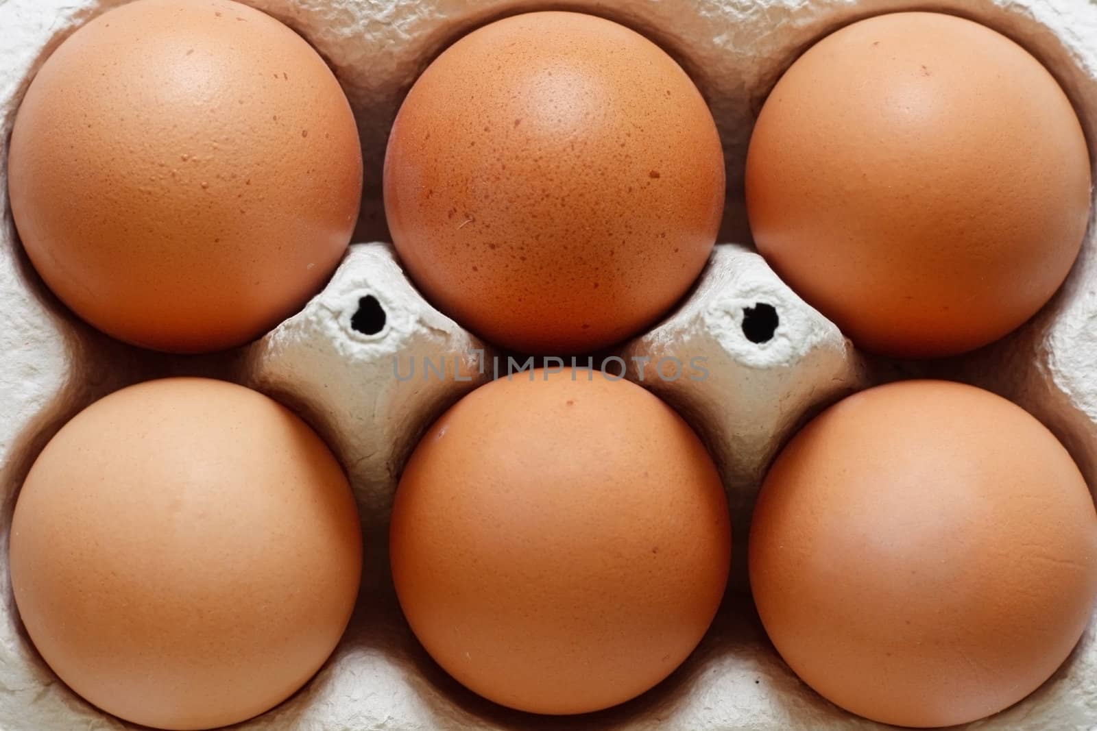 Eggs in an egg carton