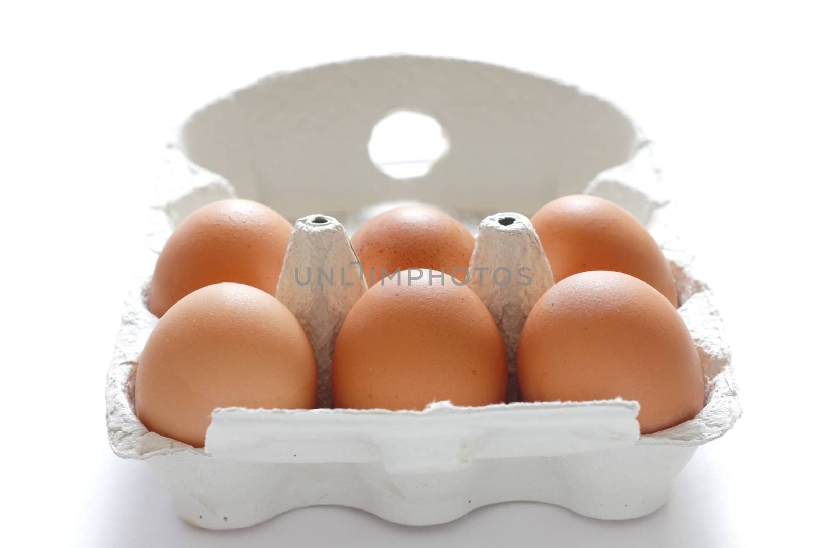 Eggs in an egg carton