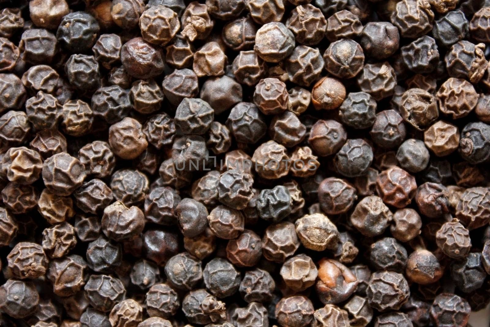 Black pepper zoomed in on