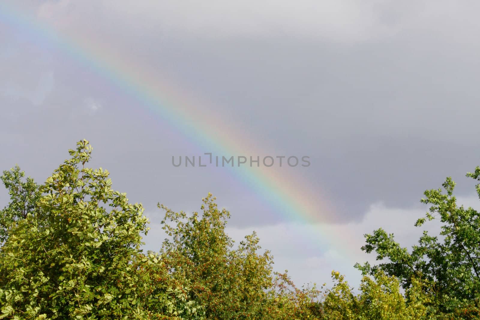 A rainbow on a rainy day