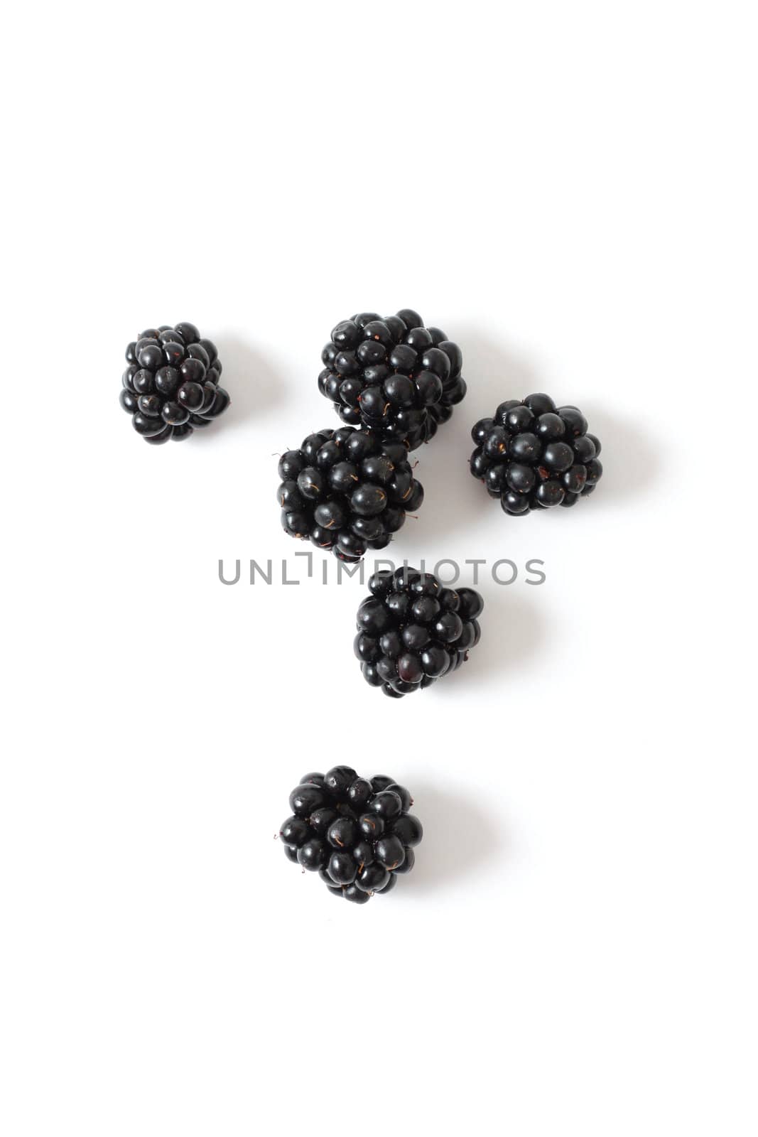 Blackberries by leeser