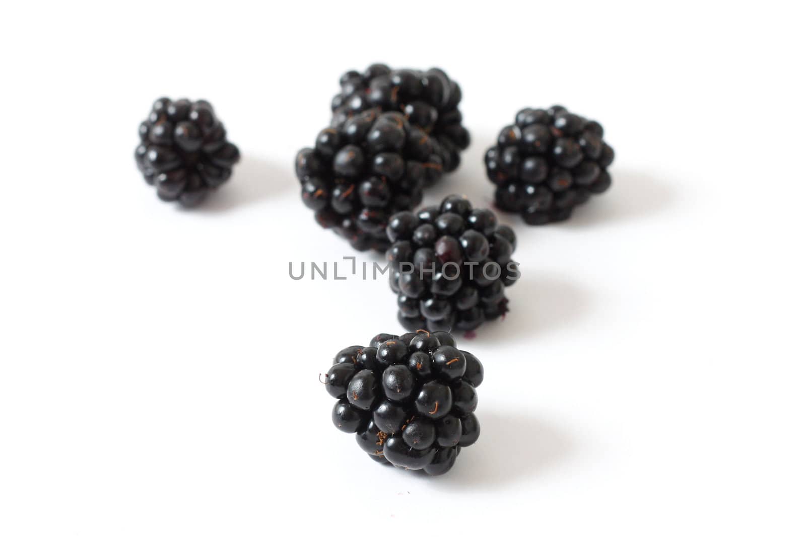 A bunch of healthy blackberries