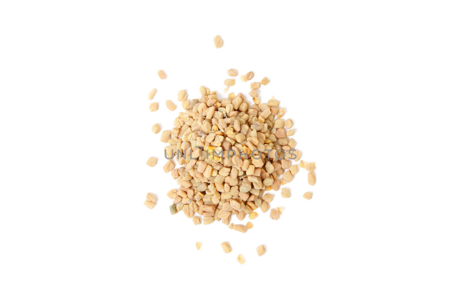 Fenugreek seeds isolated on white