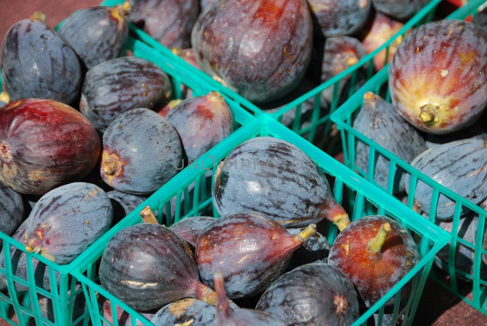Black Figs in the Farmers Market on a Sunny Day
