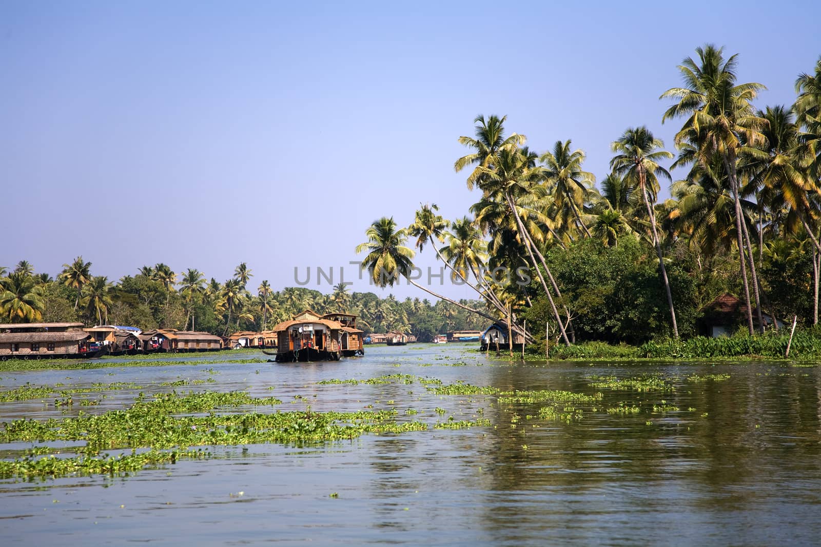 House boats in the backwaters Kerala over blue sky