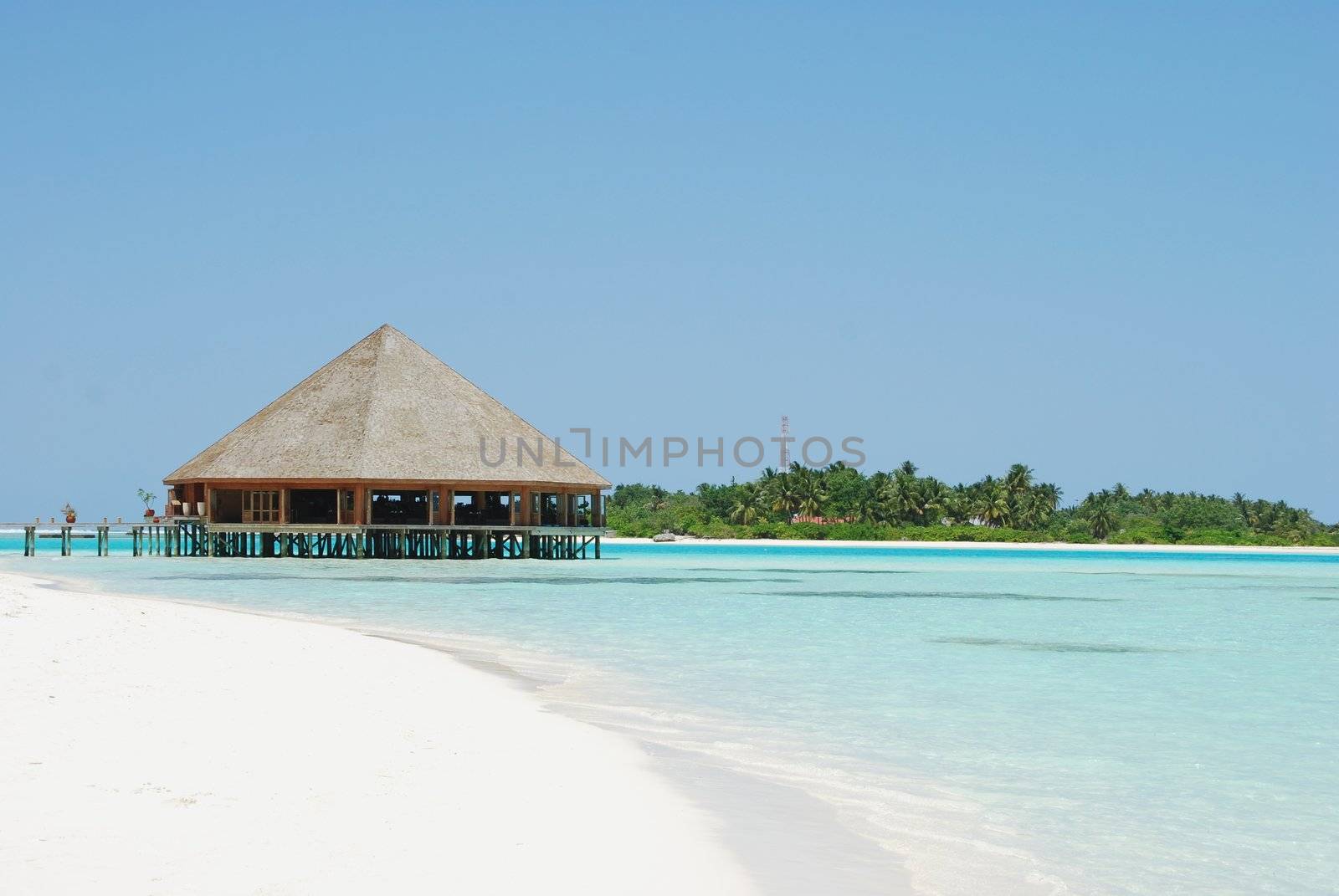 beautiful tropical beach and wooden bungalow in Maldives