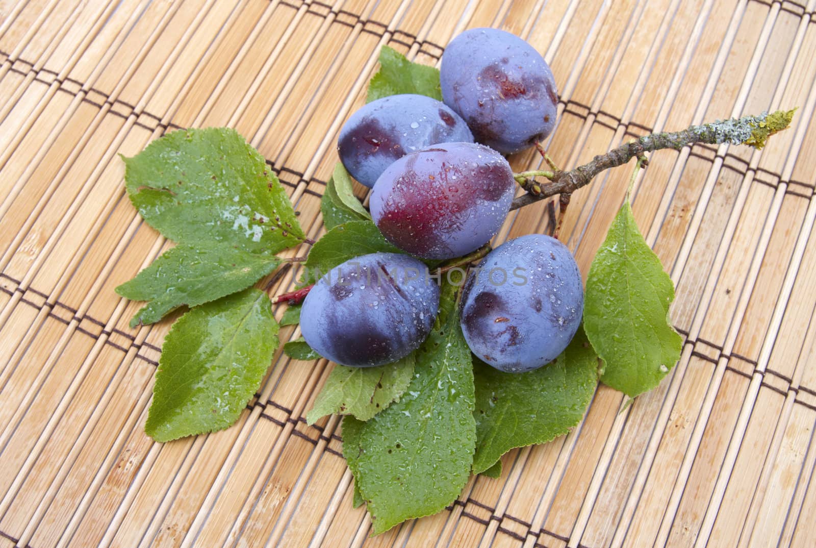 Plum branch on wooden napkins. Closeup image