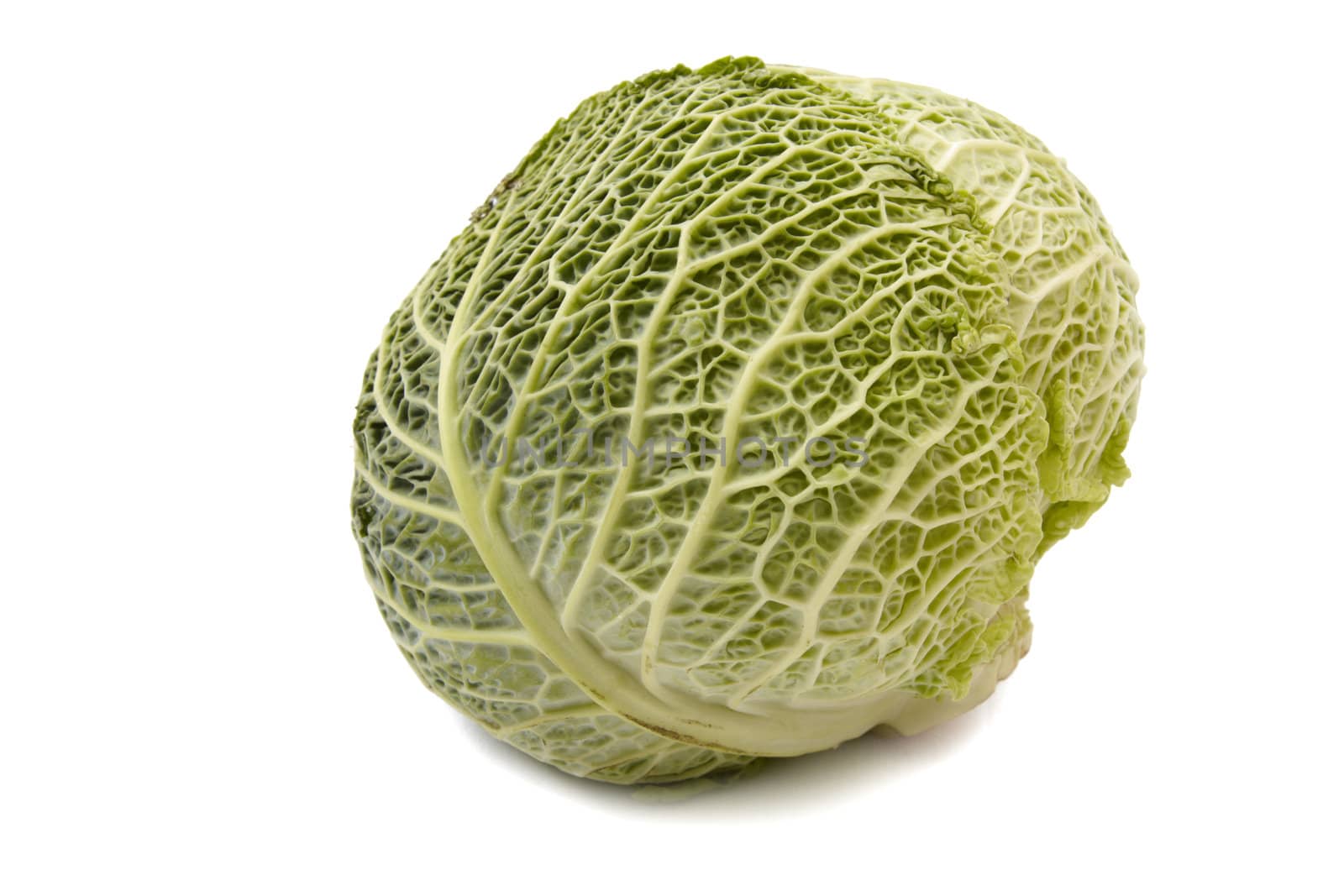 Head of savoy cabbage isolated on white background