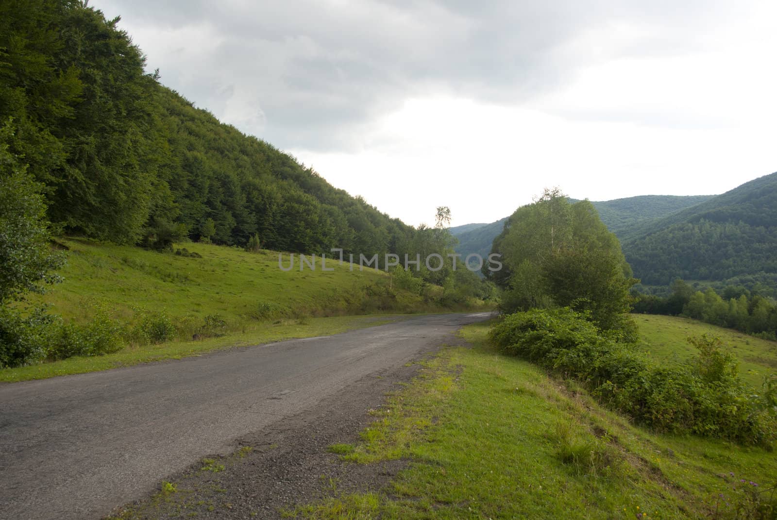 Mountain rural road with forest and overcast sky view.