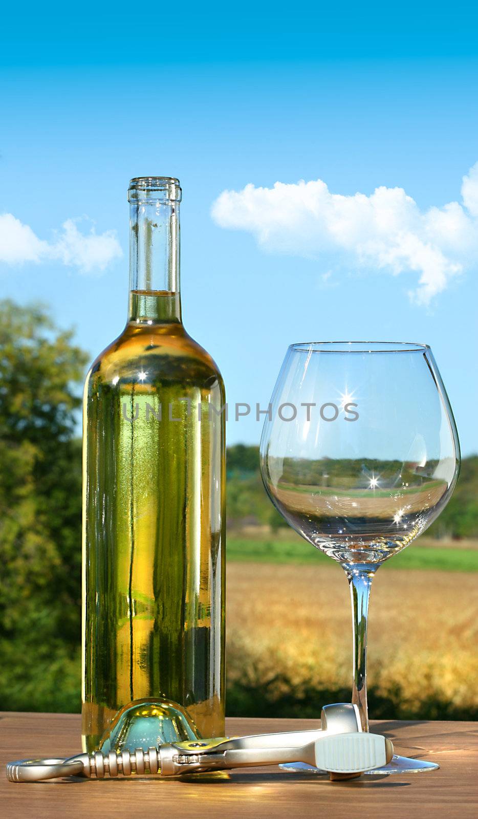 Empty glass with a bottle of white wine  by Sandralise