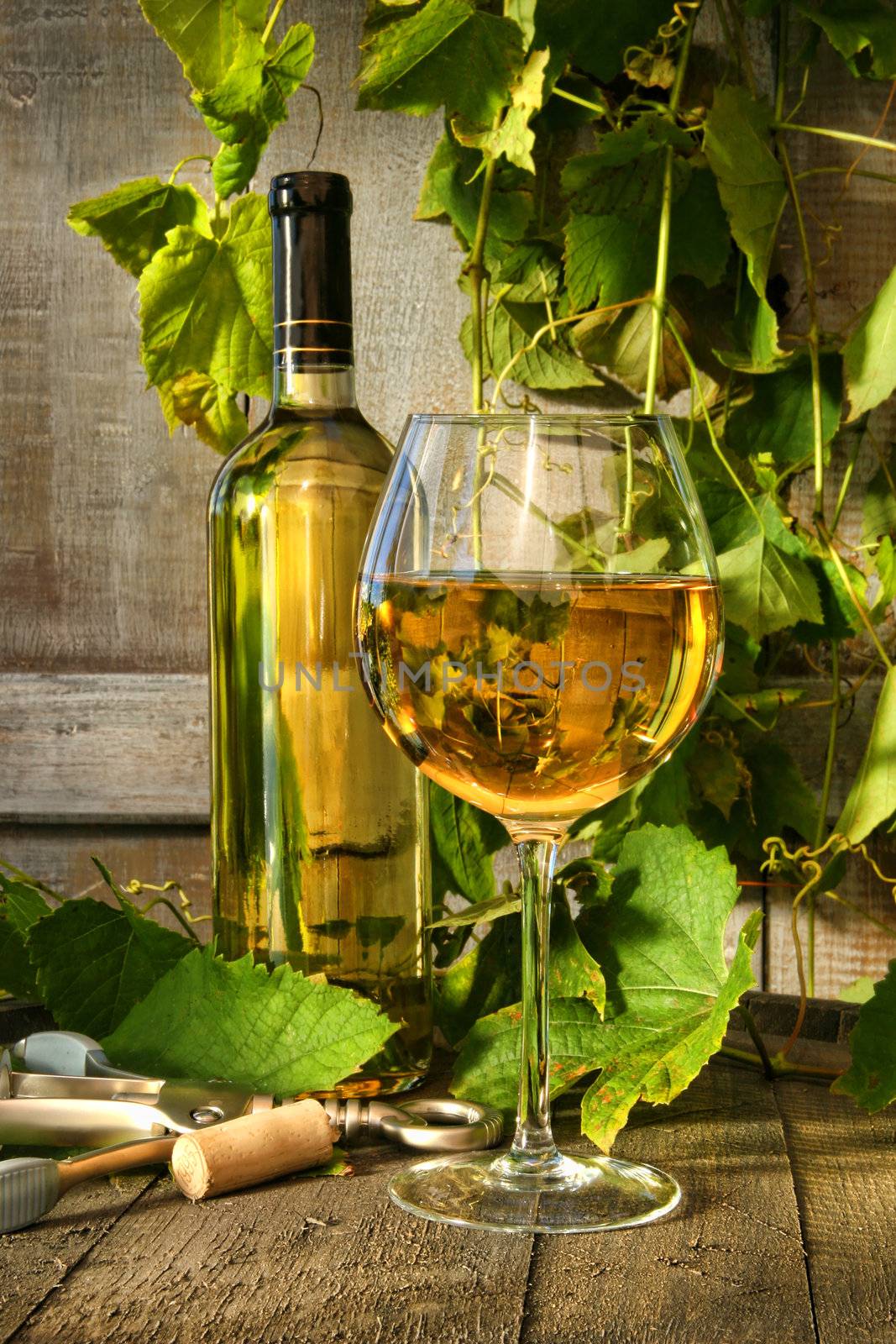 Glass of white wine and bottle on barrel with vines in background