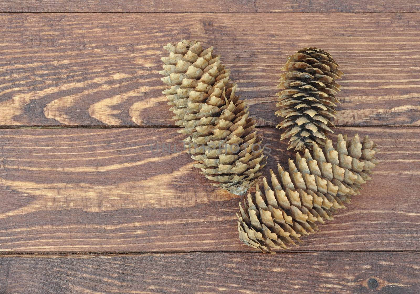 Dry pine cones on old wooden boards