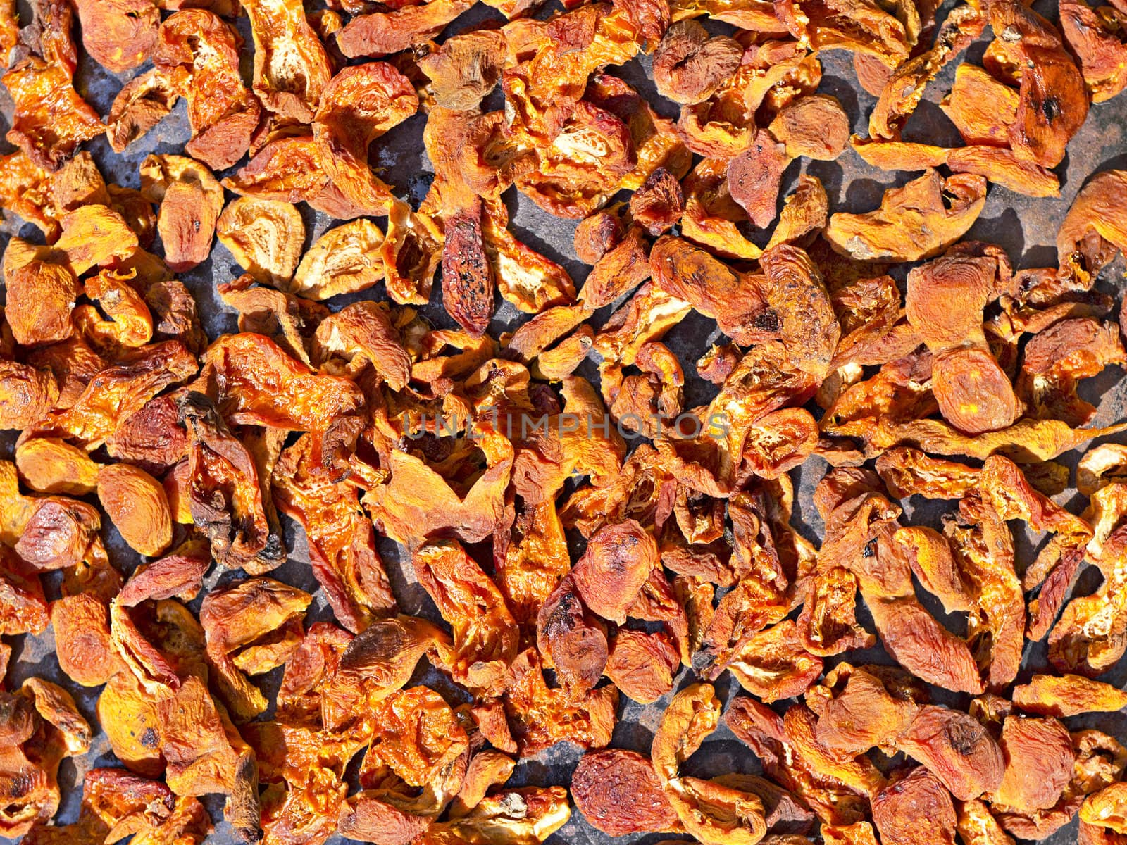 background of dried apricots drying in the sun