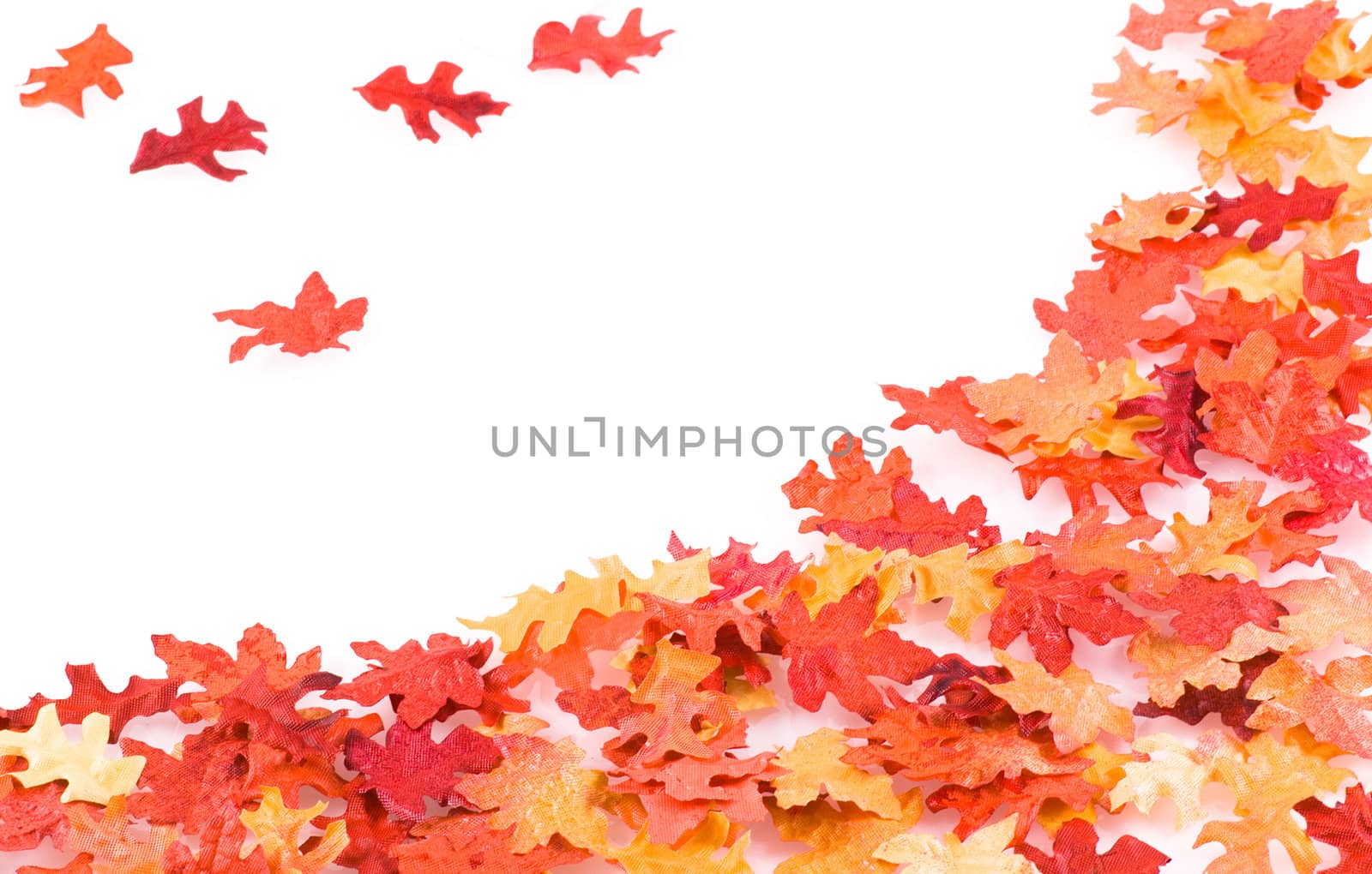 Autumn leaves background with copy-space, isolated on white.