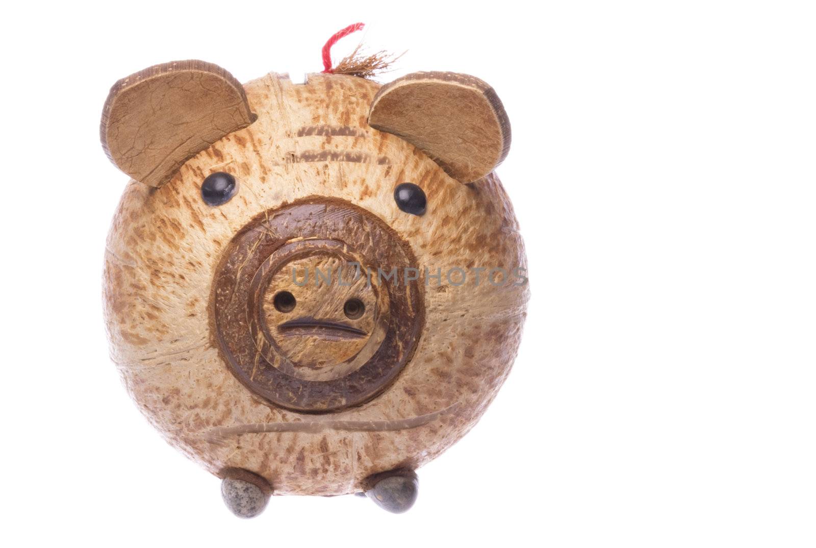 Isolated image of a coconut shell piggy bank.