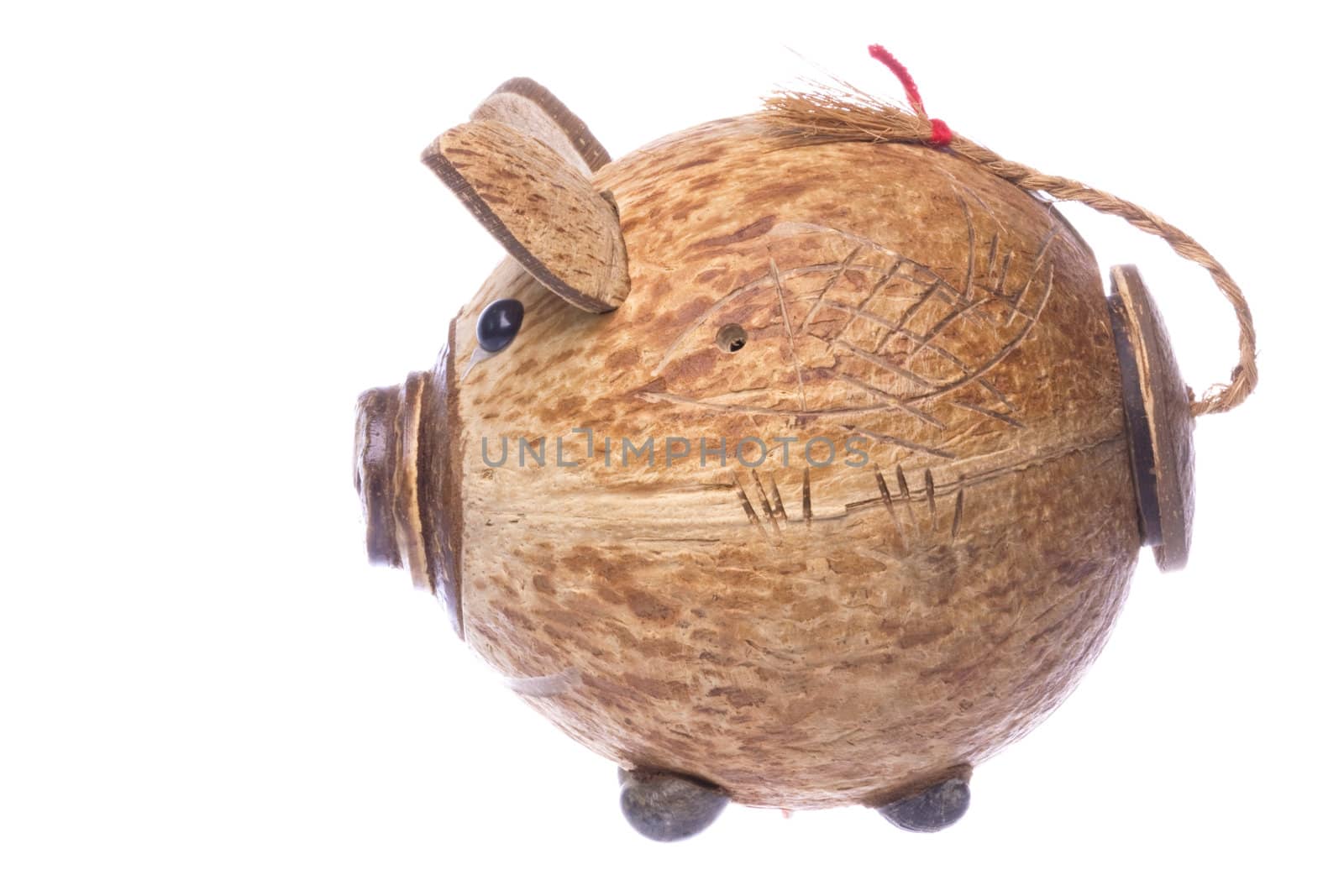 Isolated image of a coconut shell piggy bank.