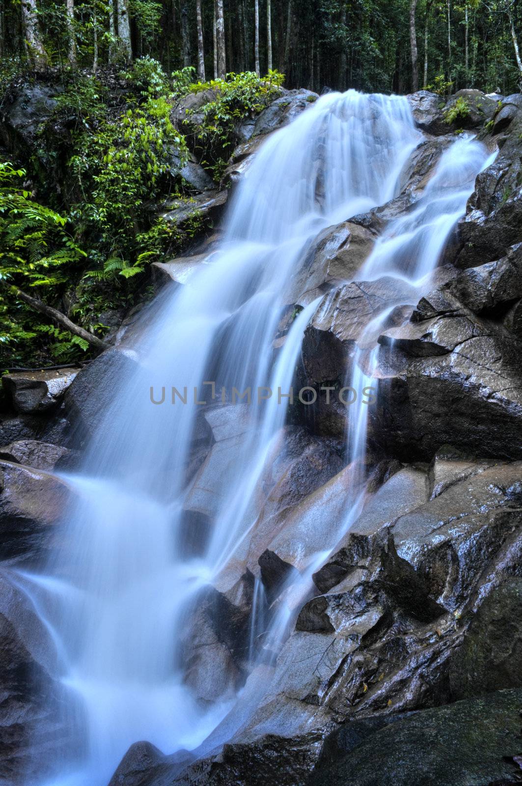 Natural waterfall at tropical rainforest Malaysia in a morning.