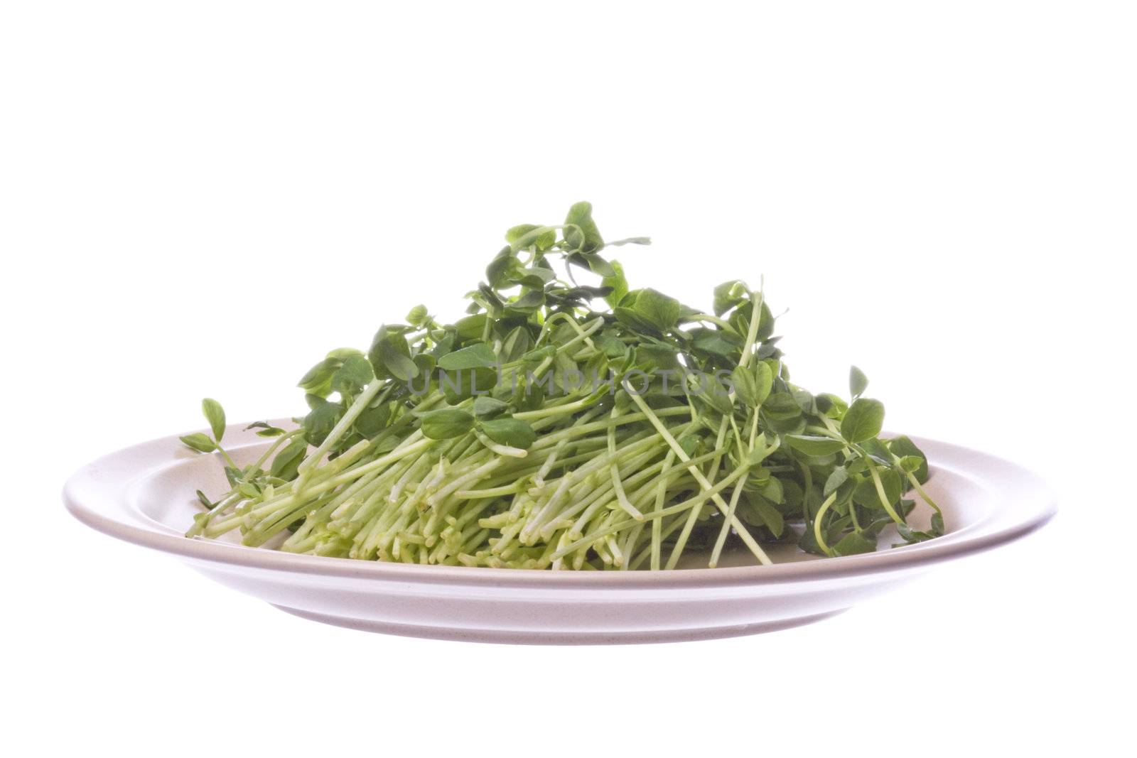 Snow Pea Sprouts on Plate Isolated by shariffc