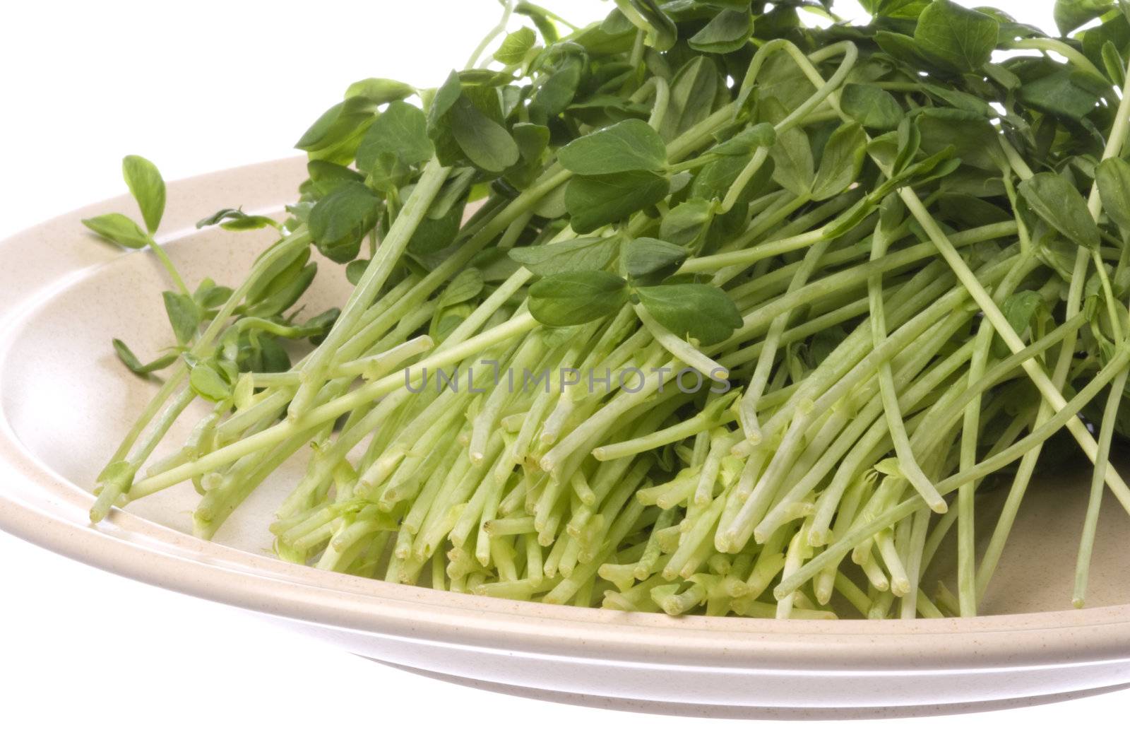 Isolated image of snow pea sprouts on a plate.