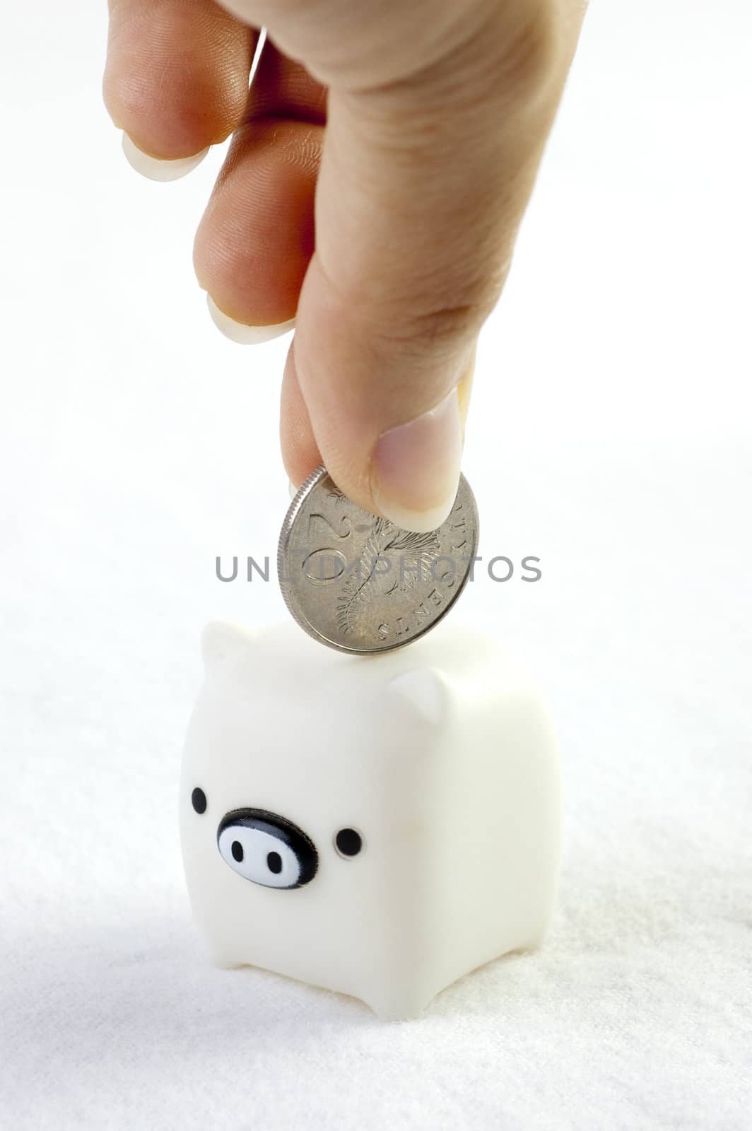Hand inserting coin to a small piggy bank.