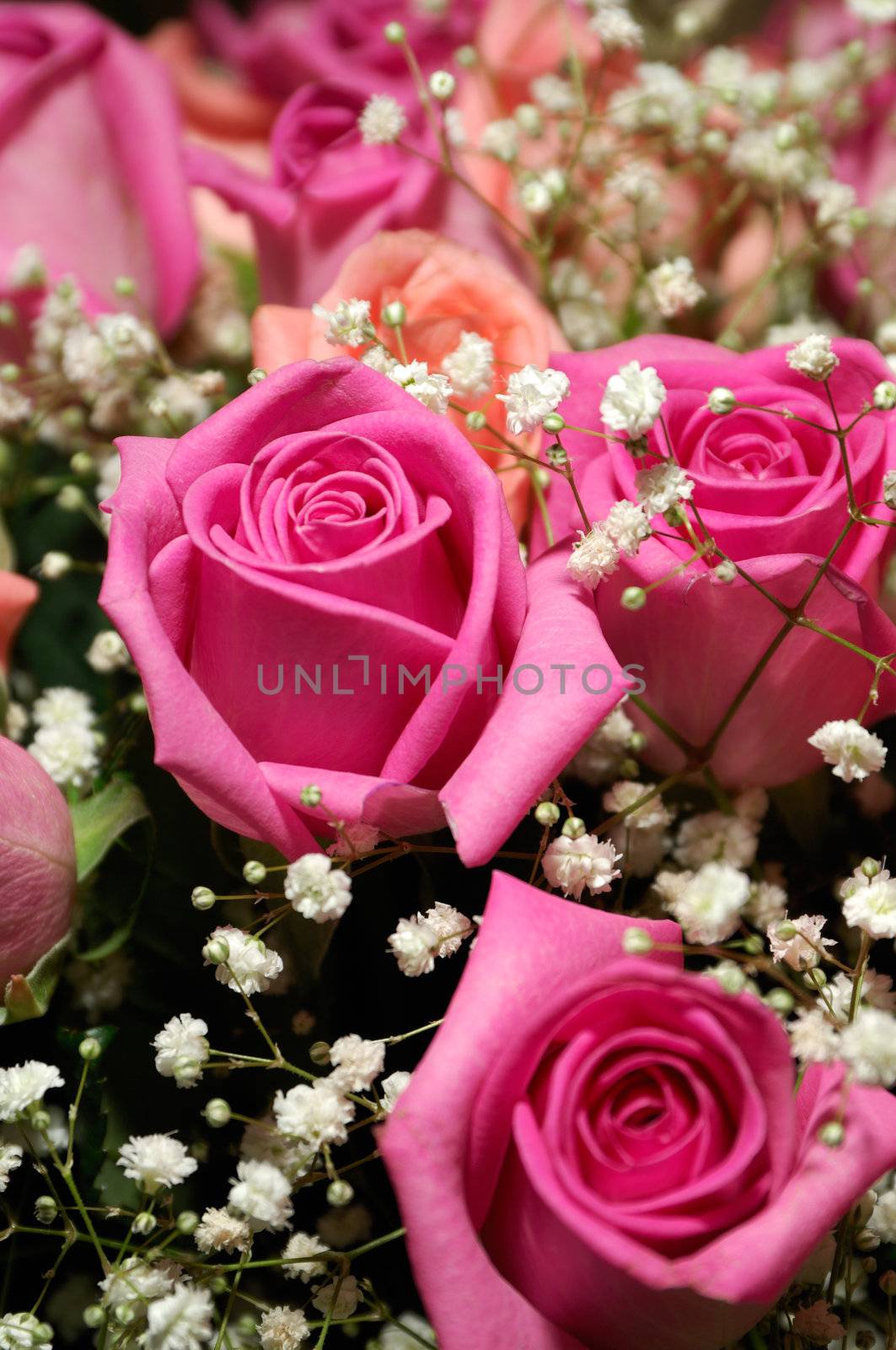 Image shows a bouquet of roses, mostly pink, decorated with small white flowers