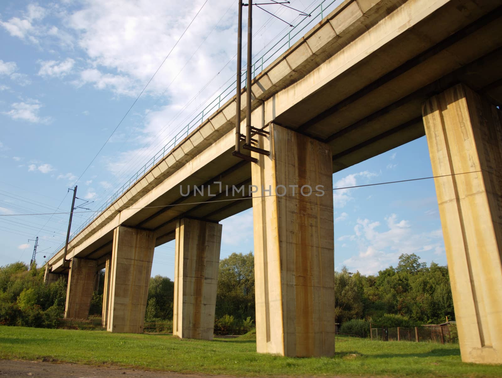 under the bridge