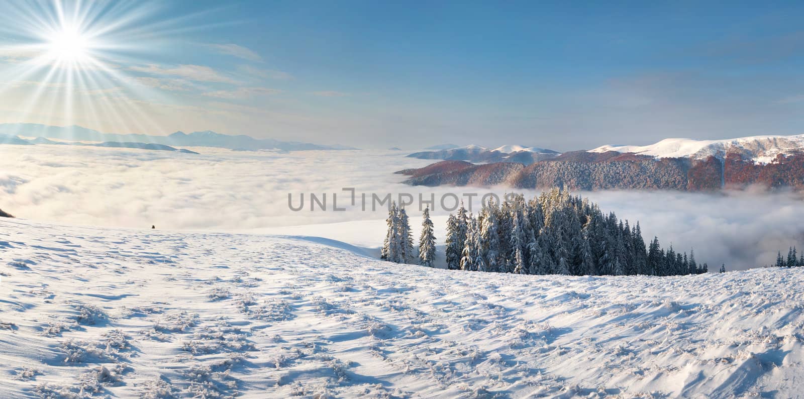 winter morning landscape in the mountains