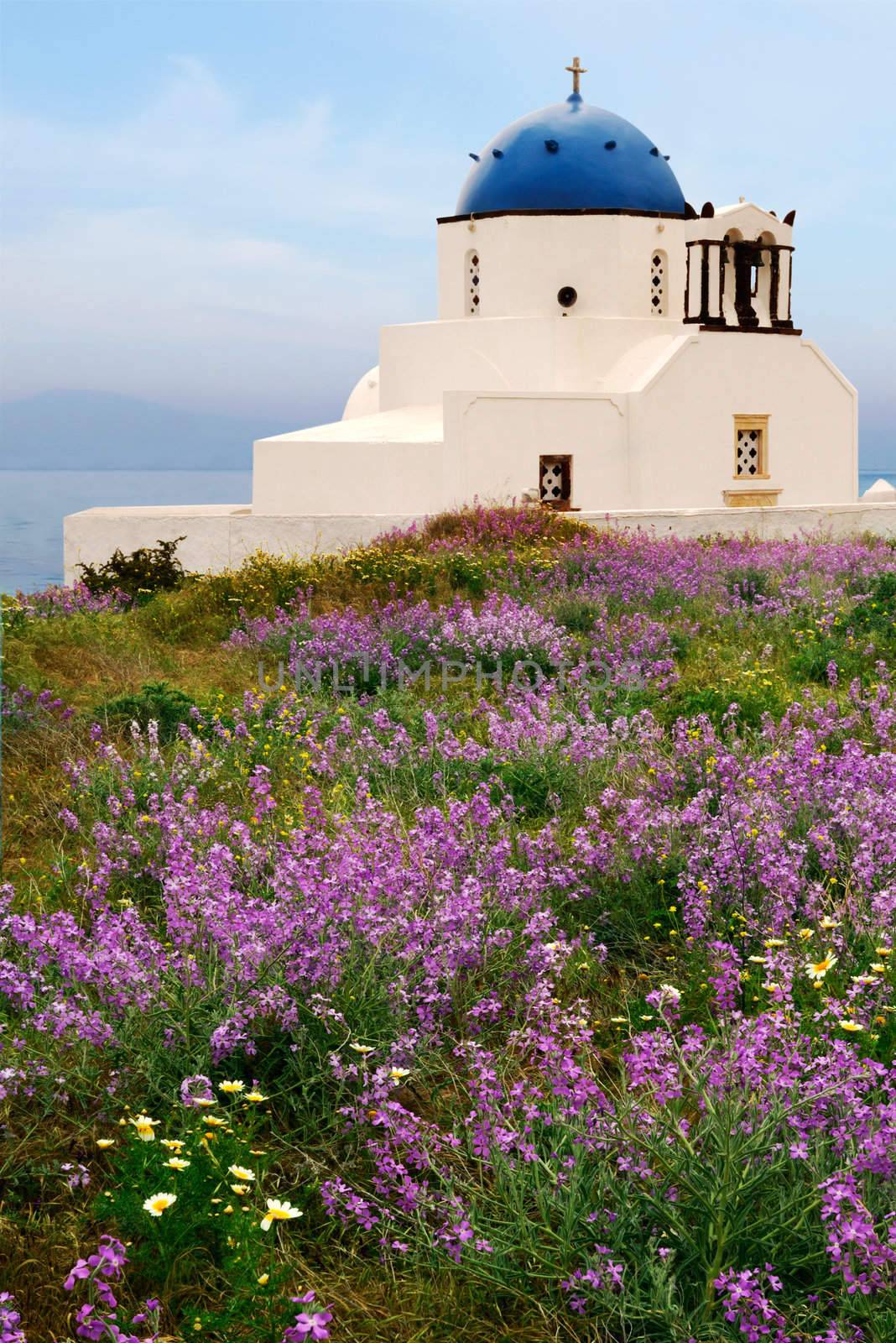 Picture of a small chapel on the beautiful island of Santorini, near a spring flower bed. 