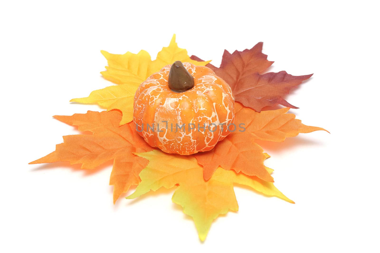 halloween pumpkin with colored leaves around it