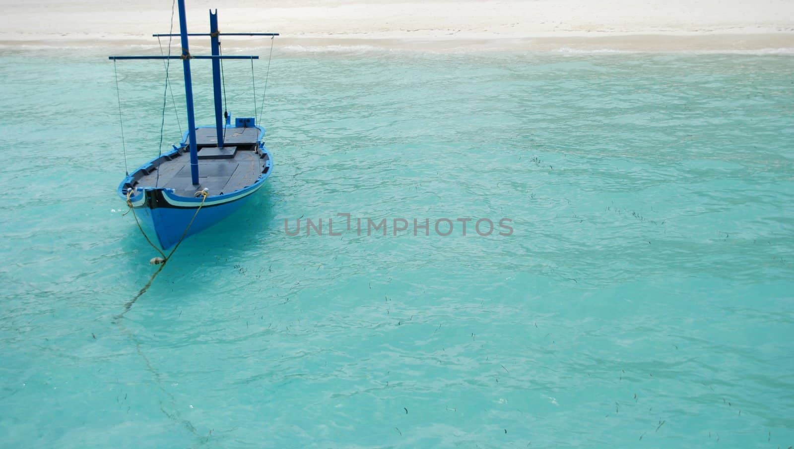 close up photo of a typical boat on Maldivian Island