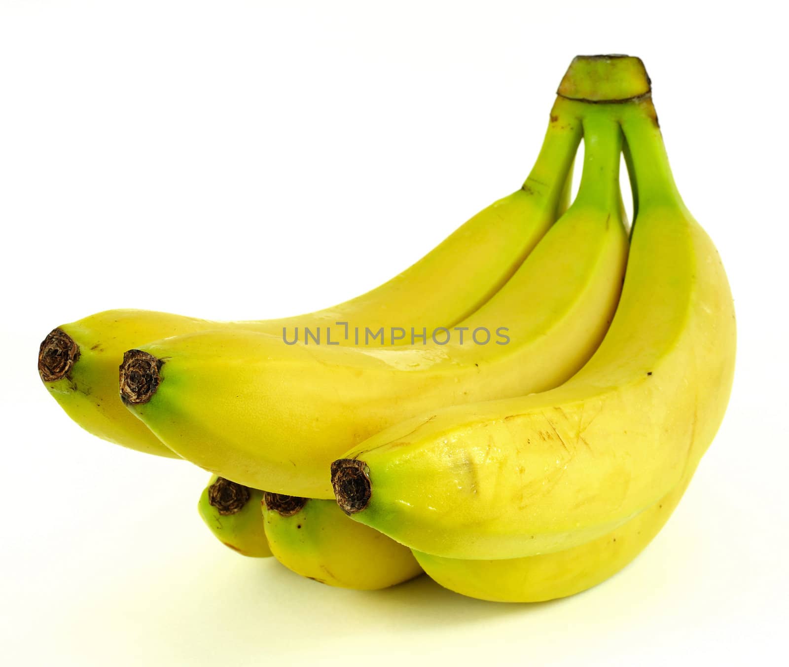 Fresh Bananas by neelsky