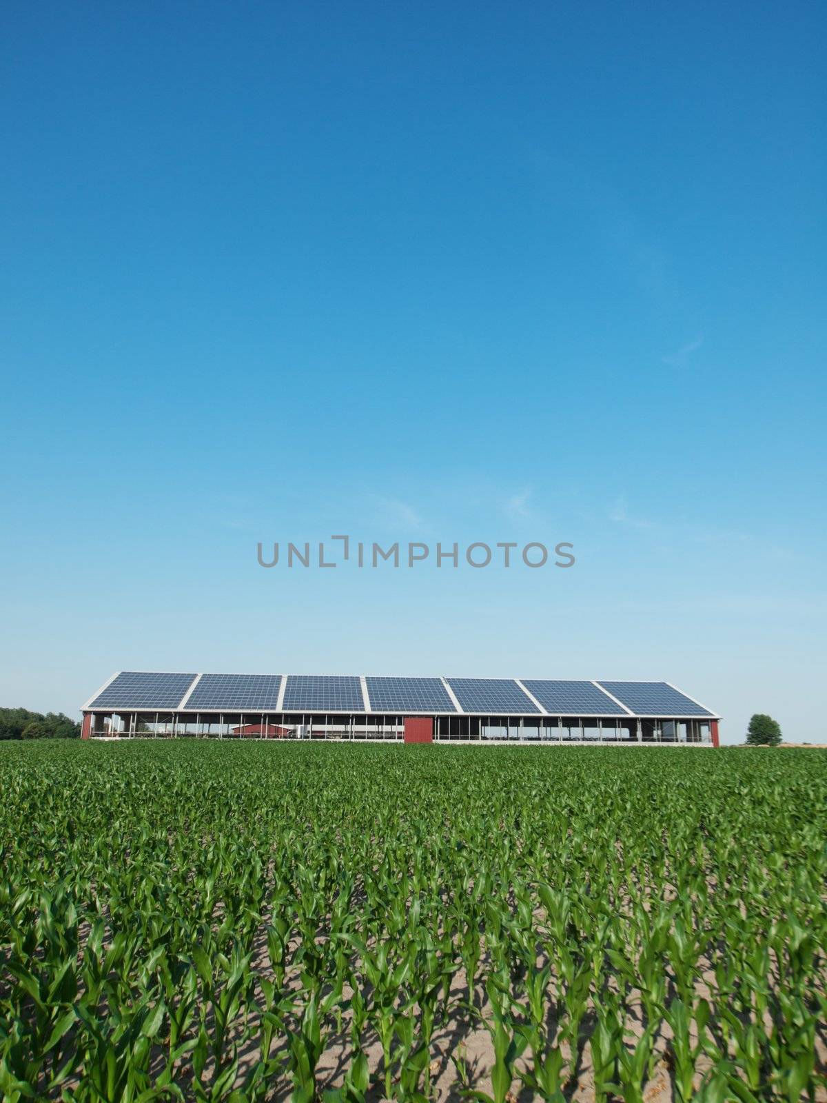 Farm in Germany with roof solar panel and corn field