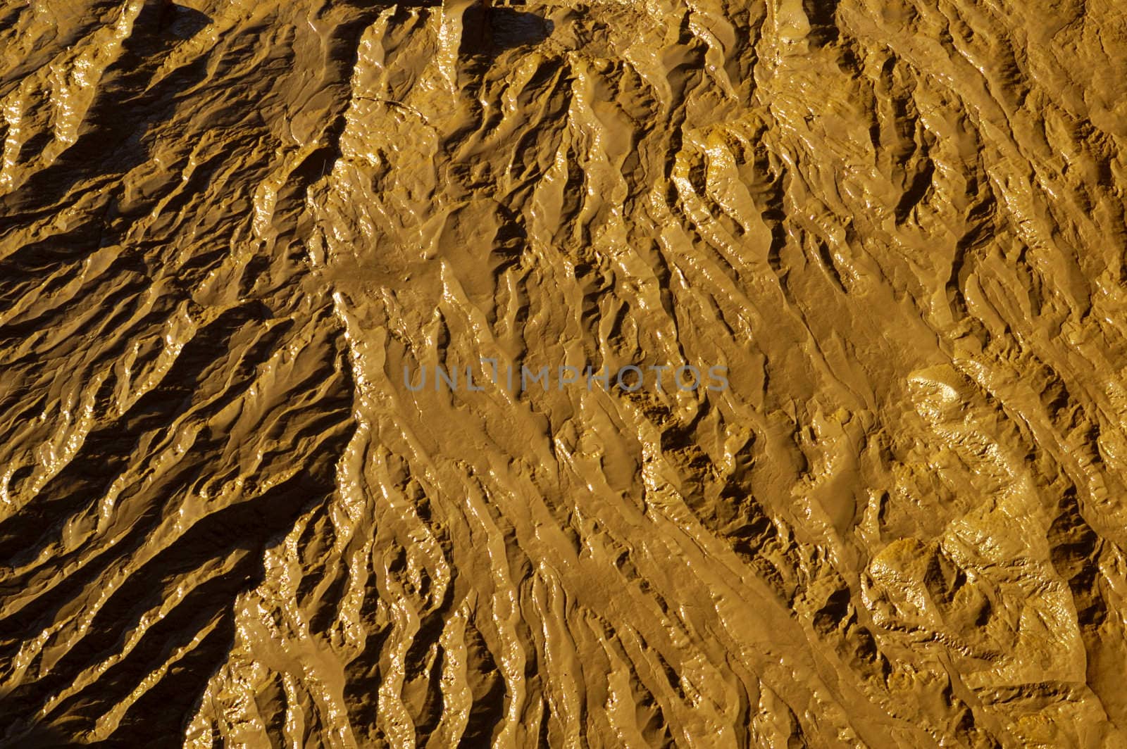 Mudflats by Bateleur